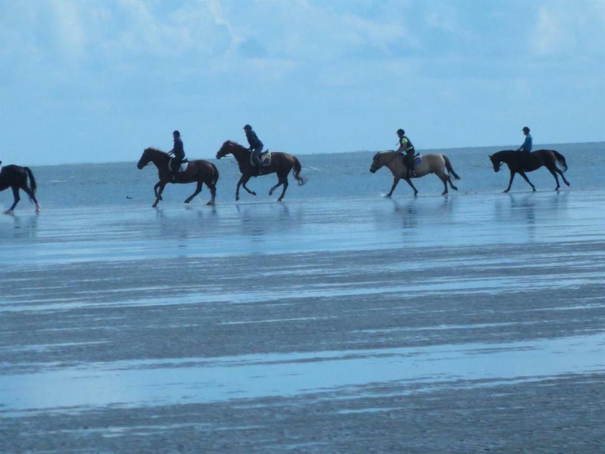 Dietrichs Wentzelhof Sankt Peter-Ording Dış mekan fotoğraf