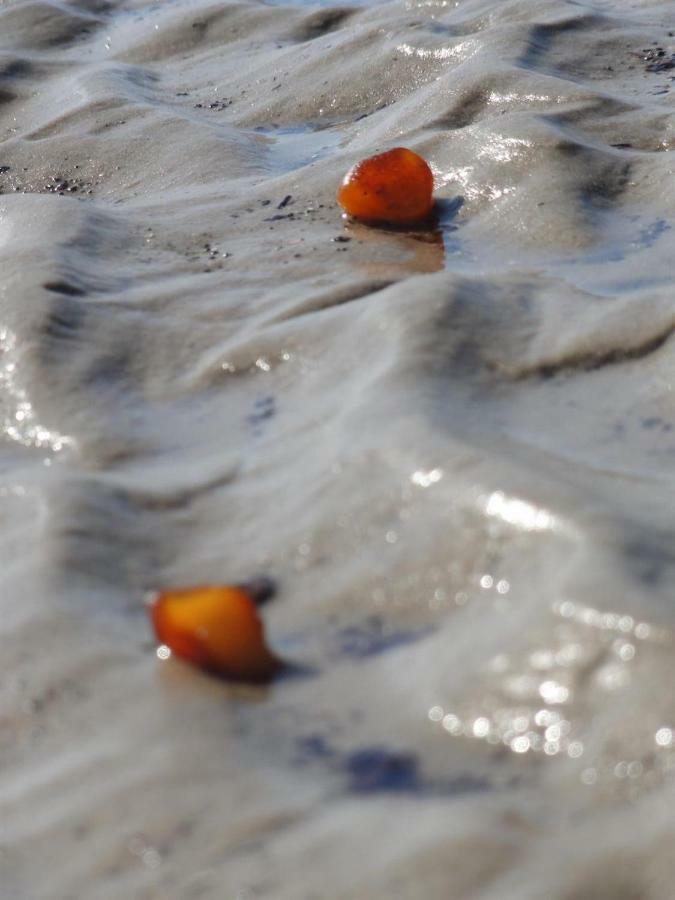 Dietrichs Wentzelhof Sankt Peter-Ording Dış mekan fotoğraf