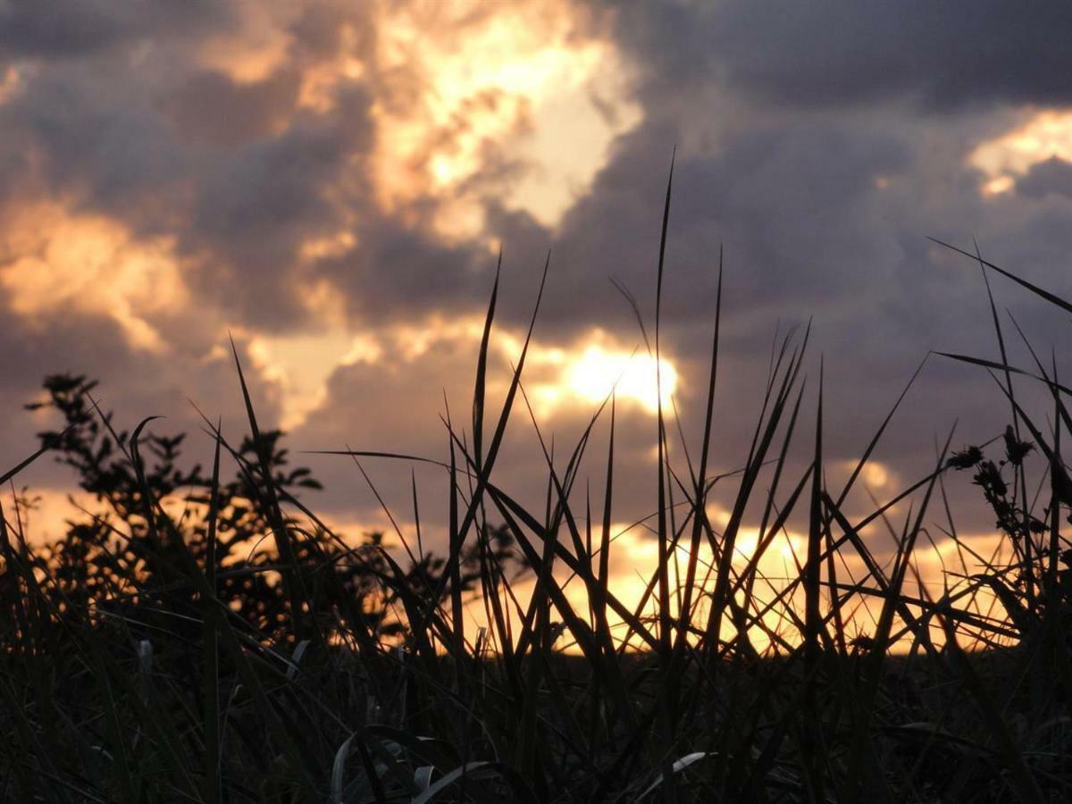 Dietrichs Wentzelhof Sankt Peter-Ording Dış mekan fotoğraf